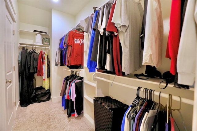 172 Pleasant Path, Somerville, TX 77879 - spacious closet featuring carpet floors