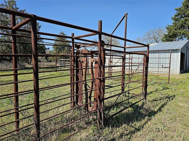 view of yard featuring an outbuilding