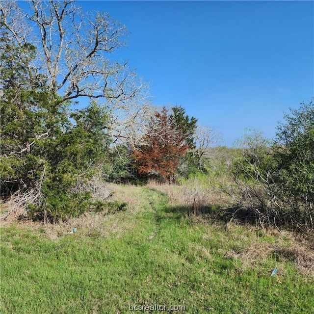 TBD Lions Cir, Somerville TX, 77879 land for sale