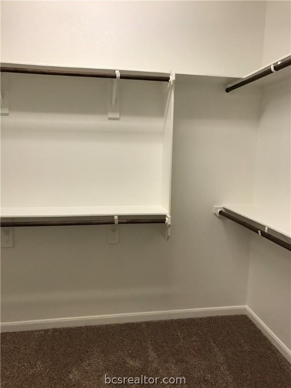 walk in closet with carpet flooring