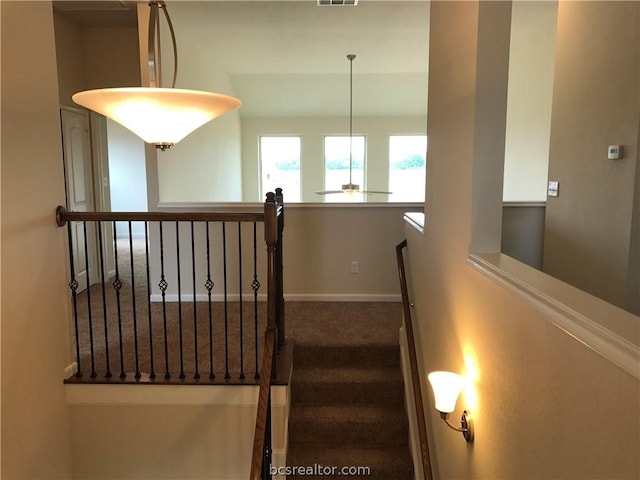 staircase featuring ceiling fan and carpet