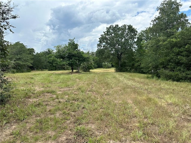 00 Buck Run Dr, Waelder, TX 78959 - photo 5