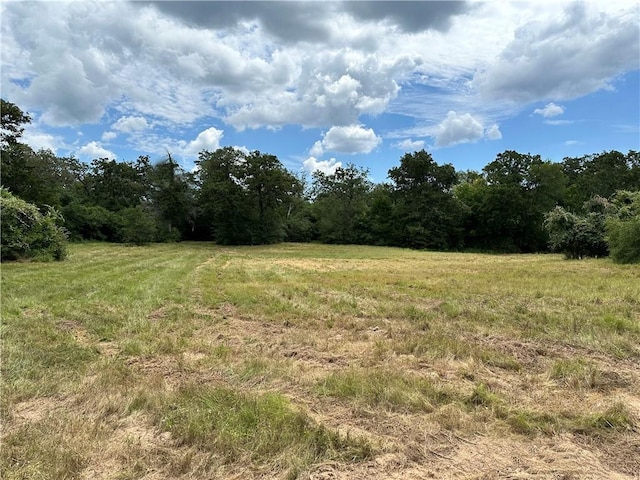 00 Buck Run Dr, Waelder, TX 78959 - photo 6