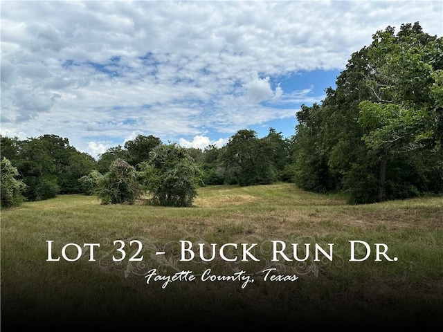 00 Buck Run Dr, Waelder, TX 78959 - photo 1