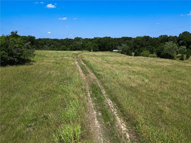 14655 Fm 1155 E, Washington, TX 77880 - photo 7