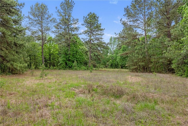 2092 Fm 1486th Rd, Anderson, TX 77830 - view of landscape featuring a view of trees