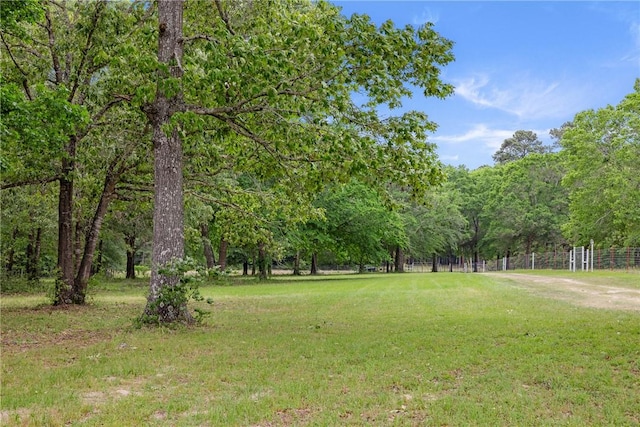 2092 Fm 1486th Rd, Anderson, TX 77830 - view of yard featuring fence