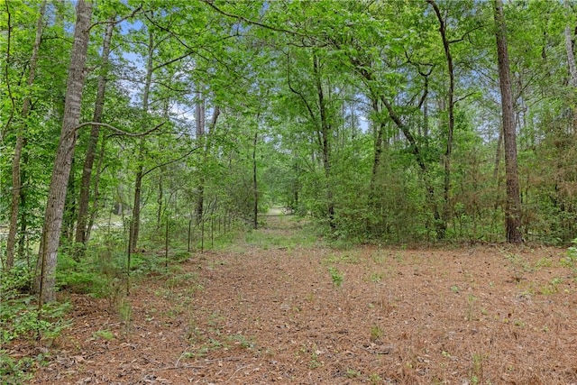 2092 Fm 1486th Rd, Anderson, TX 77830 - view of local wilderness featuring a forest view