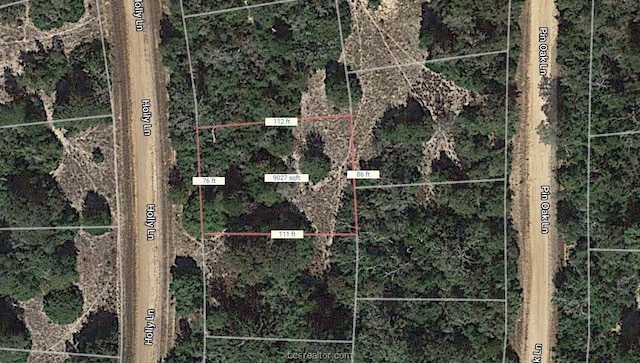 LOT16 Holly Ln, Hilltop Lakes TX, 77871 land for sale