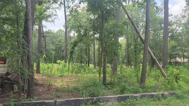 12562 Mossyknoll Dr, Plantersville, TX 77363 - photo 13