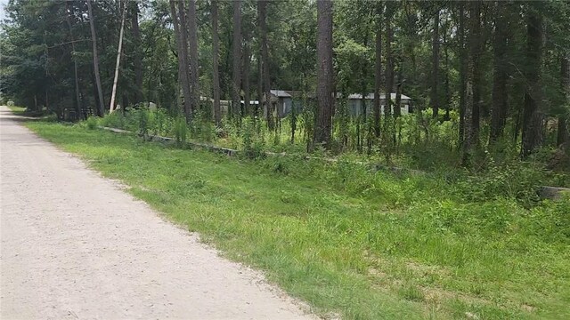 12562 Mossyknoll Dr, Plantersville, TX 77363 - photo 11