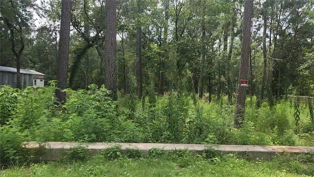 12562 Mossyknoll Dr, Plantersville, TX 77363 - photo 19