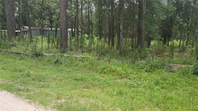 12562 Mossyknoll Dr, Plantersville, TX 77363 - photo 10