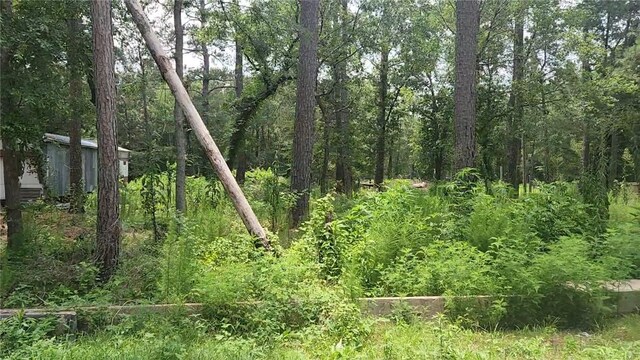 12562 Mossyknoll Dr, Plantersville, TX 77363 - photo 17