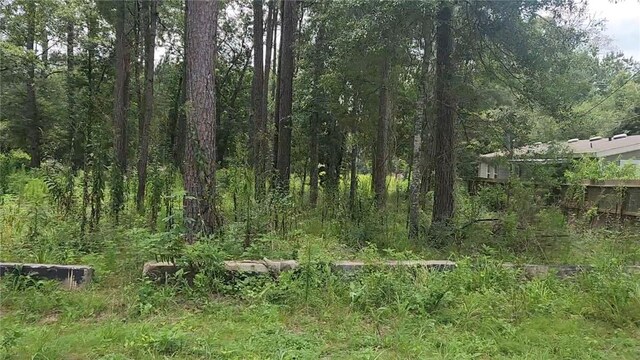 12562 Mossyknoll Dr, Plantersville, TX 77363 - photo 7