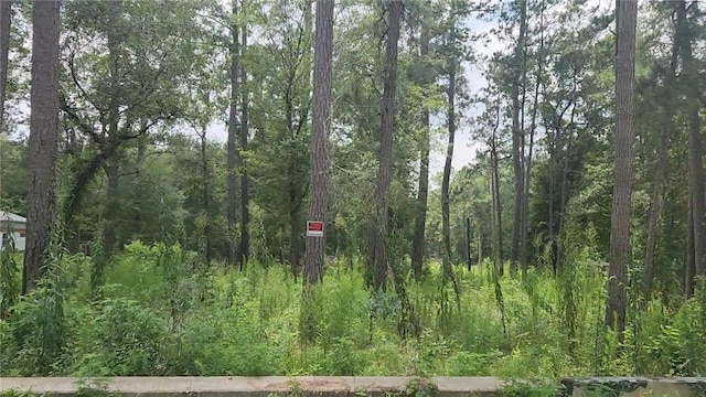12562 Mossyknoll Dr, Plantersville, TX 77363 - photo 20