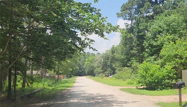 12562 Mossyknoll Dr, Plantersville, TX 77363 - photo 1