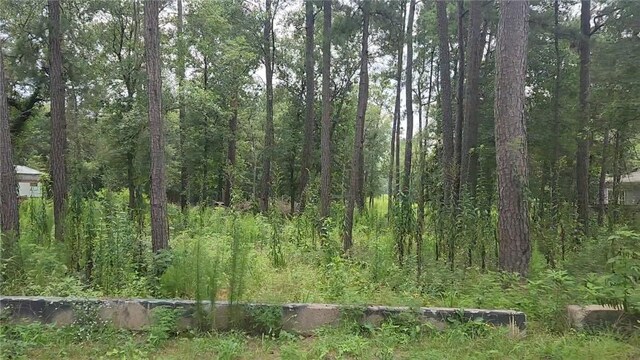 12562 Mossyknoll Dr, Plantersville, TX 77363 - photo 5