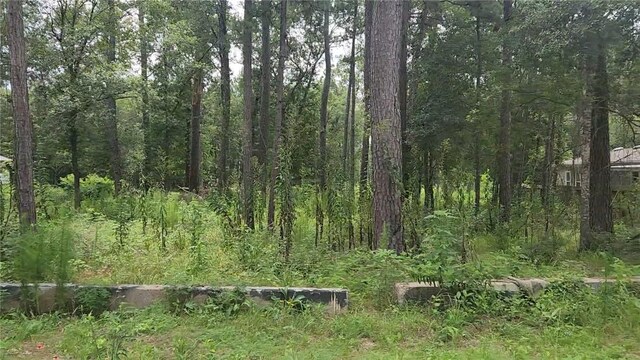 12562 Mossyknoll Dr, Plantersville, TX 77363 - photo 6