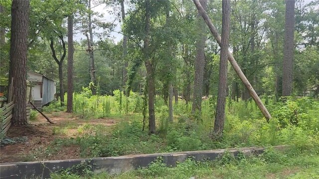 12562 Mossyknoll Dr, Plantersville, TX 77363 - photo 15