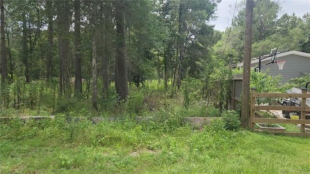 12562 Mossyknoll Dr, Plantersville, TX 77363 - photo 9