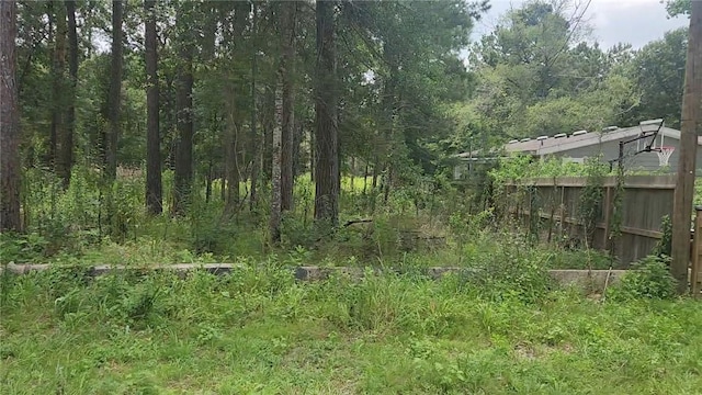 12562 Mossyknoll Dr, Plantersville, TX 77363 - photo 8