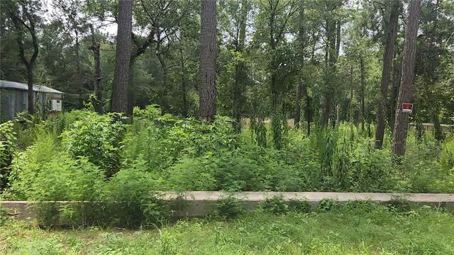 12562 Mossyknoll Dr, Plantersville, TX 77363 - photo 18