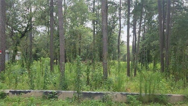 12562 Mossyknoll Dr, Plantersville, TX 77363 - photo 4