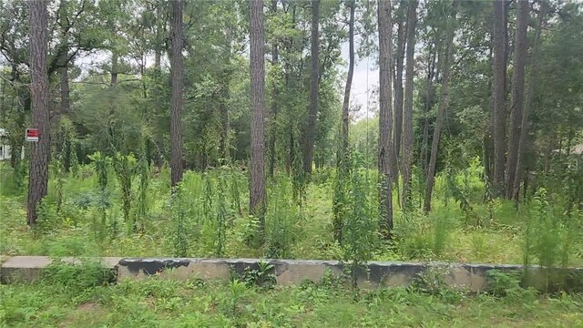 12562 Mossyknoll Dr, Plantersville, TX 77363 - photo 3
