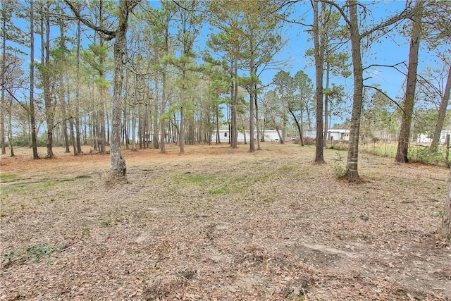 SPLITB4794 Tall Pine Rd, Navasota, TX 77868 - photo 2