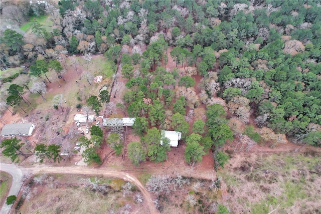 SPLITB4794 Tall Pine Rd, Navasota, TX 77868 - photo 20