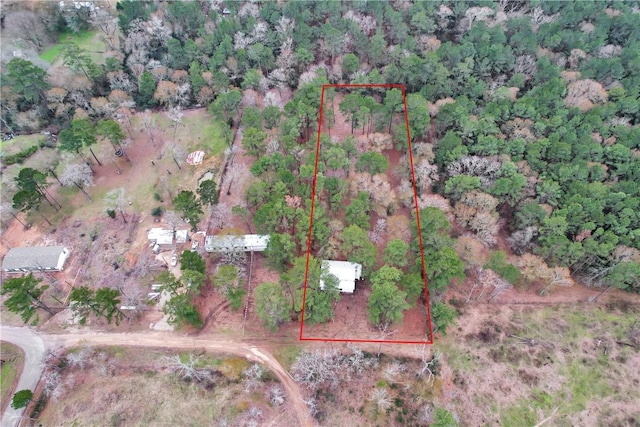 SPLITB4794 Tall Pine Rd, Navasota, TX 77868 - photo 19