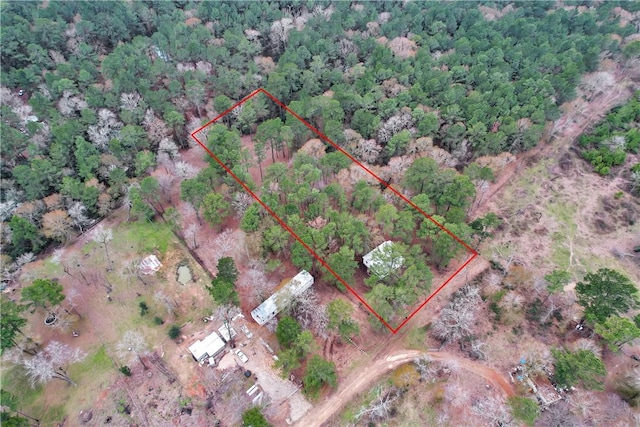 SPLITB4794 Tall Pine Rd, Navasota, TX 77868 - photo 21