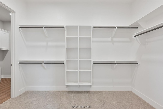 spacious closet featuring carpet flooring