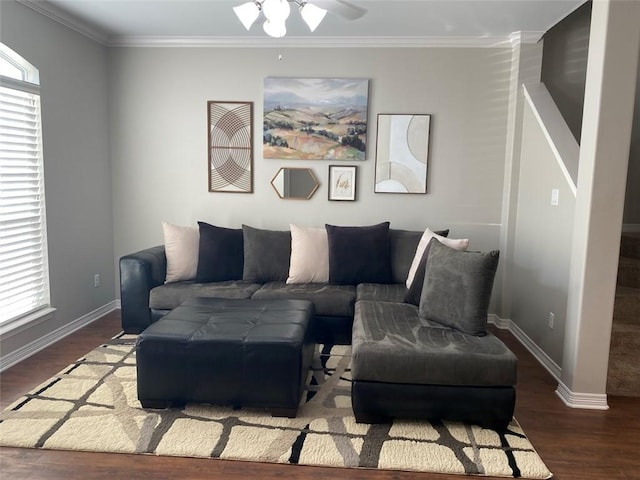 living room with dark wood-type flooring, ceiling fan, and ornamental molding