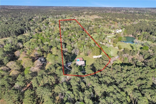 134 Vick Rd, New Waverly, TX 77358 - aerial overview of property's location with property parcel outlined