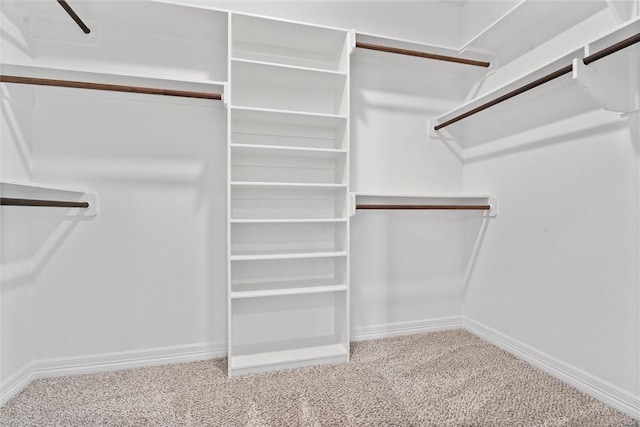 3008 Alpha Ct, Bryan, TX 77808 - walk in closet with carpet flooring
