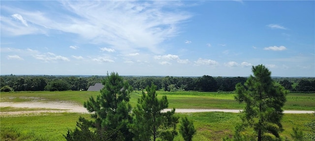 0000 Lone Star Ln, Franklin, TX 77856 - photo 1