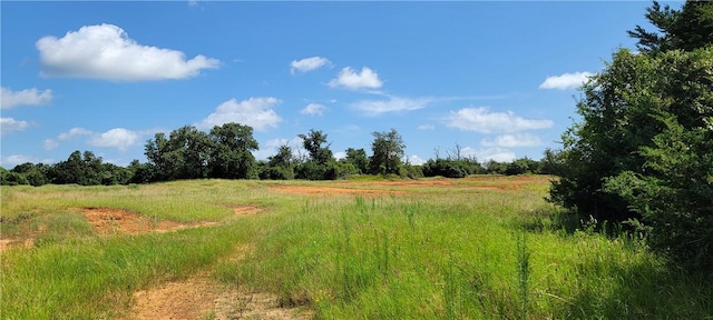 0000 Lone Star Ln, Franklin, TX 77856 - photo 6