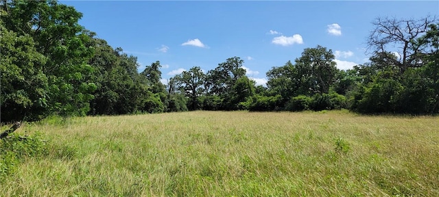 0000 Lone Star Ln, Franklin, TX 77856 - photo 12