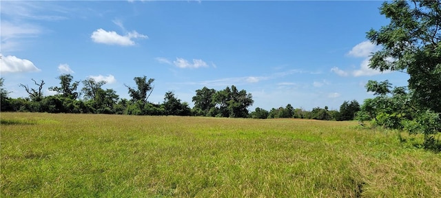 0000 Lone Star Ln, Franklin, TX 77856 - photo 13