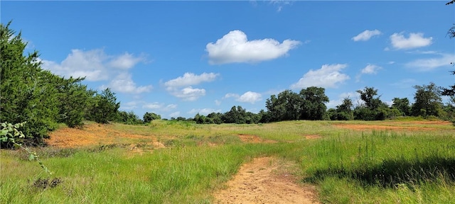 0000 Lone Star Ln, Franklin, TX 77856 - photo 4