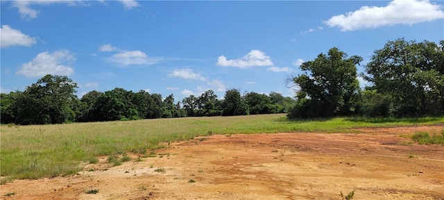 0000 Lone Star Ln, Franklin, TX 77856 - photo 8