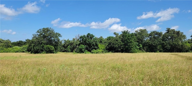 0000 Lone Star Ln, Franklin, TX 77856 - photo 14