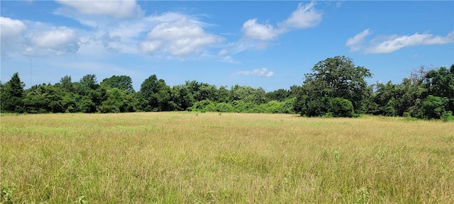 0000 Lone Star Ln, Franklin, TX 77856 - photo 15