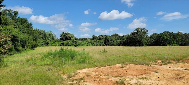 0000 Lone Star Ln, Franklin, TX 77856 - photo 7
