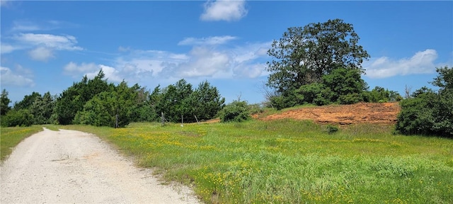 0000 Lone Star Ln, Franklin, TX 77856 - photo 23