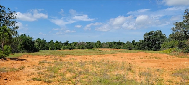 0000 Lone Star Ln, Franklin, TX 77856 - photo 16
