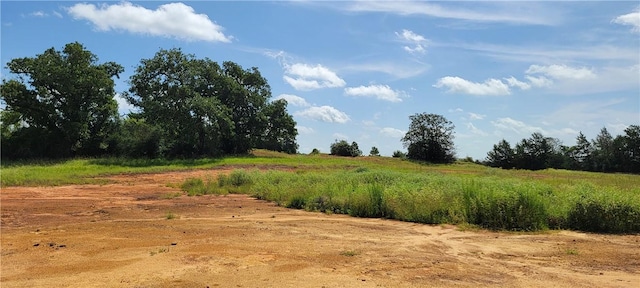 0000 Lone Star Ln, Franklin, TX 77856 - photo 9