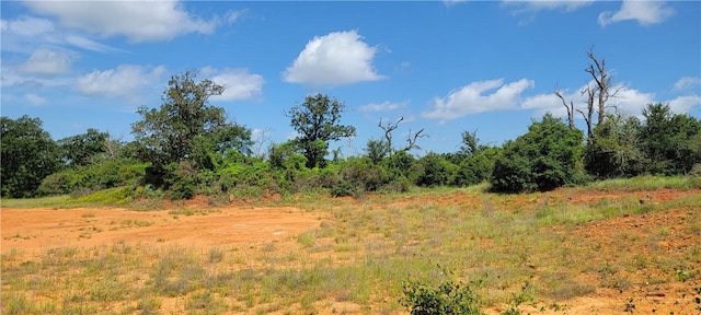 0000 Lone Star Ln, Franklin, TX 77856 - photo 19